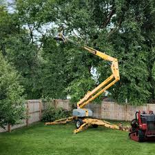 Best Tree Risk Assessment  in Grizzly Flats, CA