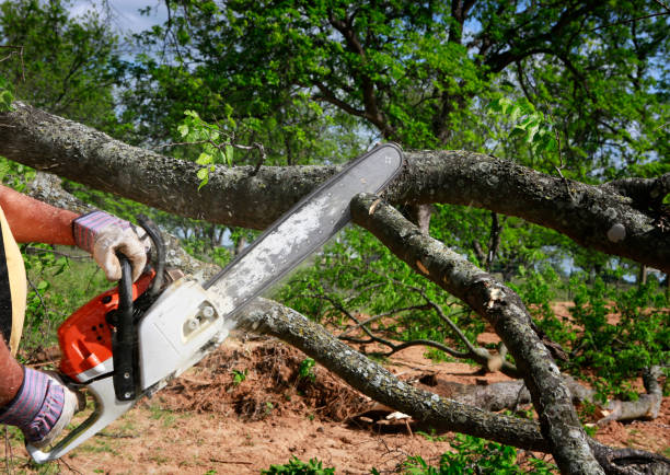 Mulching Services in Grizzly Flats, CA